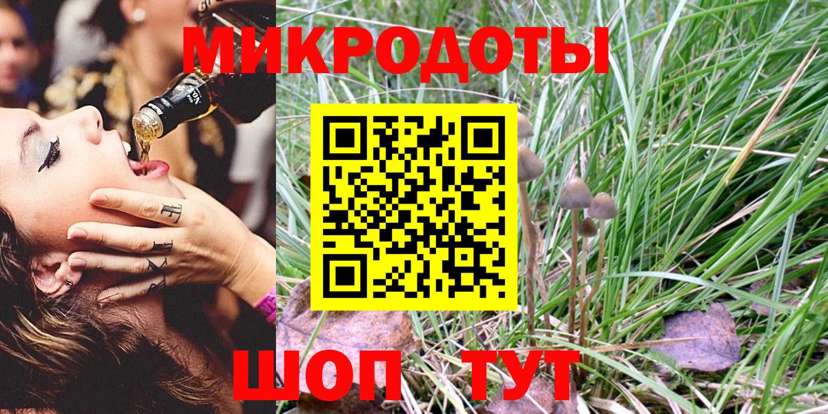 Псилоцибиновые грибы Psilocybe Югорск